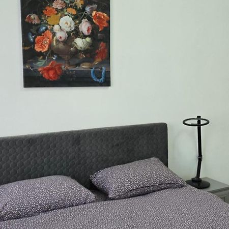 Casa Grande Appartement Făgăraş Buitenkant foto